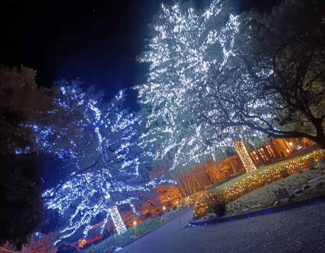 チャンスの神様の前髪を掴む